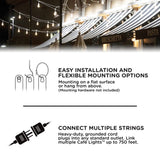 Enbrighten Classic LED Cafe Lights, 48ft, 24 Acrylic Bulbs, White Cord