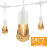 Enbrighten Vintage LED Cafe Lights, 24ft, 12 Acrylic Bulbs, White Cord