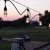Enbrighten Seasons Vintage LED Cafe Lights, 24ft, 12 Acrylic Bulbs