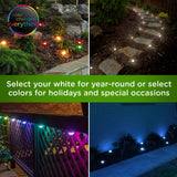 Enbrighten Seasons LED Color Changing Mini Landscape Lights, 44ft, 12 Pucks