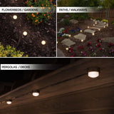 Enbrighten Seasons LED Color Changing Mini Landscape Lights, 44ft, 12 Pucks